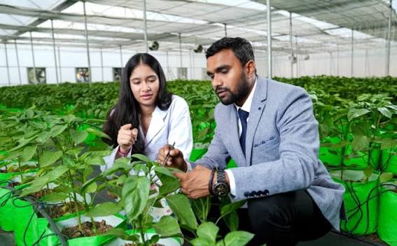 M.Sc. Agriculture